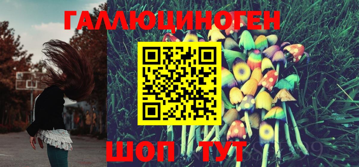 Псилоцибиновые грибы мицелий Кстово